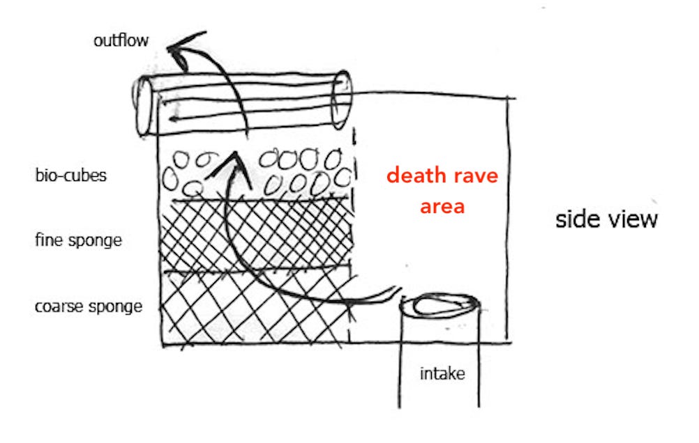 Map of a common filter setup featuring the place where shrimp love to die.