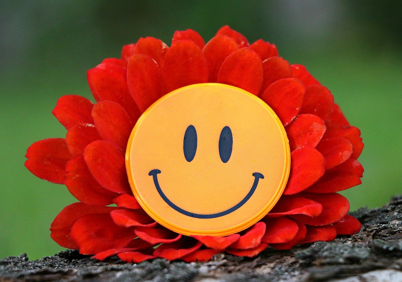 A yellow smiley face surrounded by the red petals of a flower