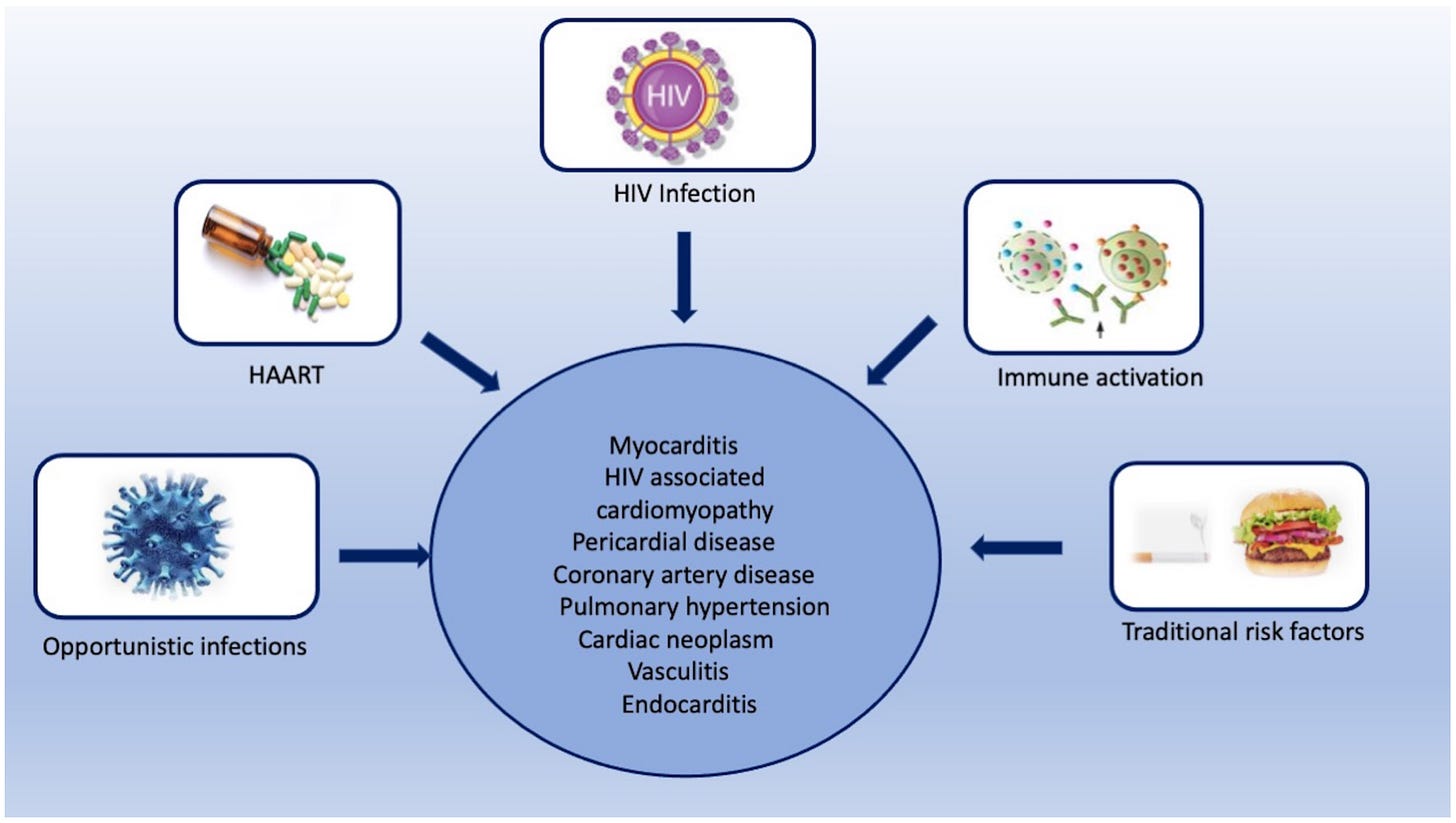 IJERPH | Free Full-Text | Multimodality Imaging in HIV-Associated ...