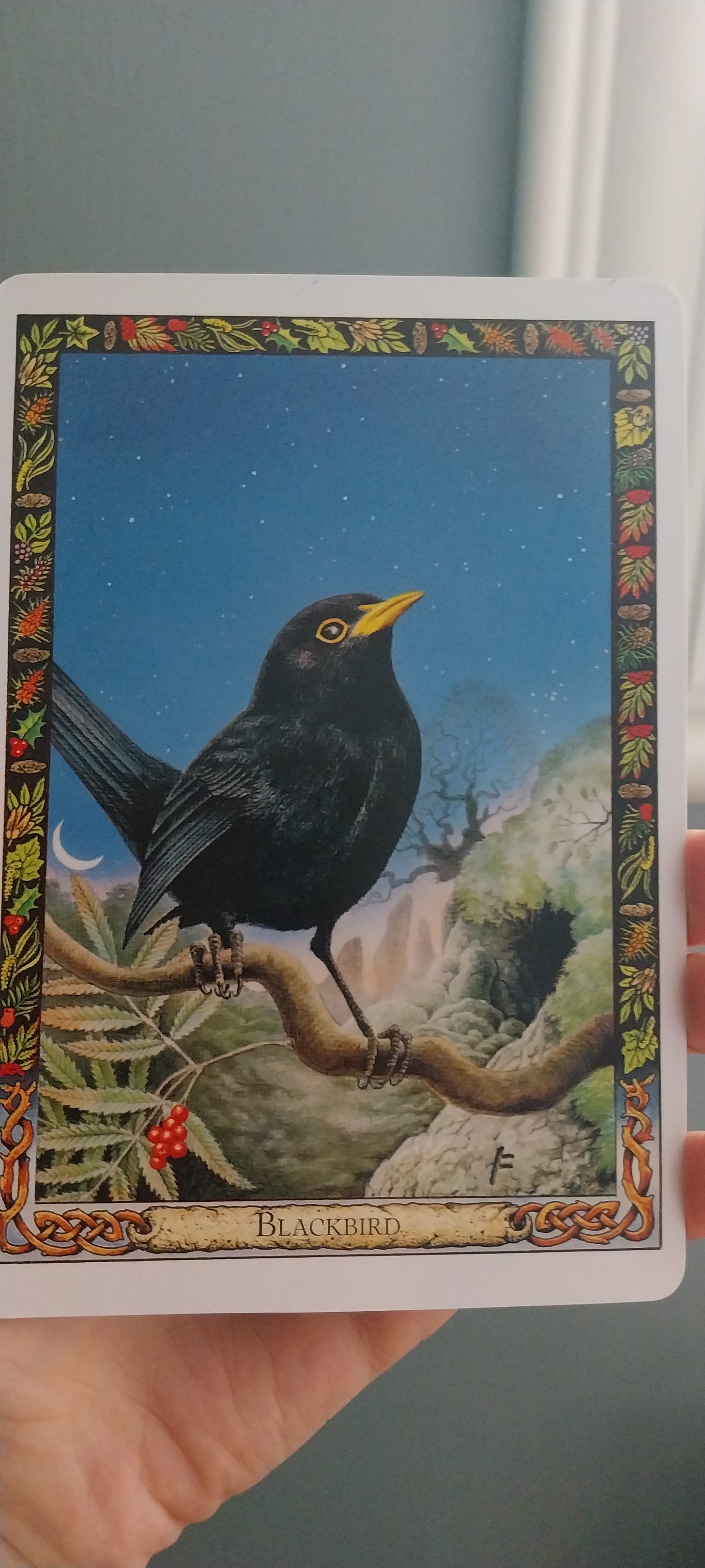 Oracle card with a blackbird on a branch in a blue sky with a cave behind him