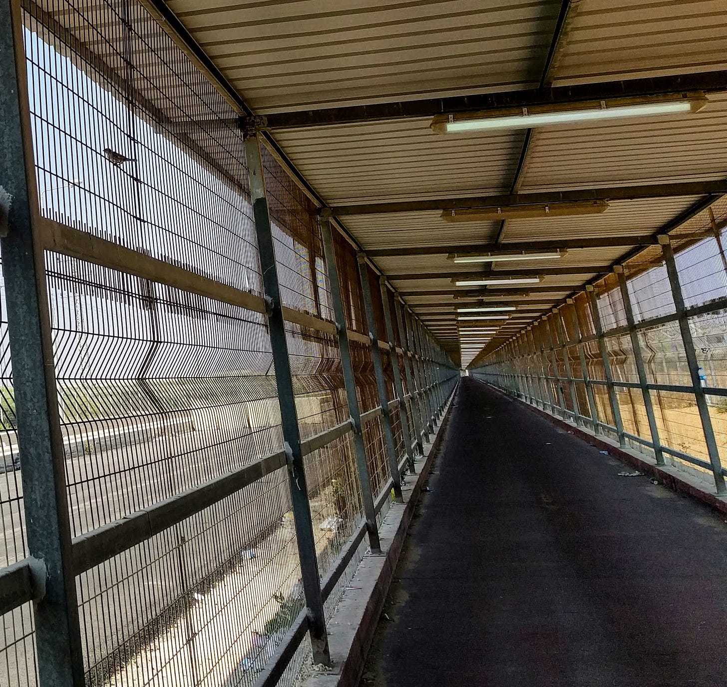 A bird perches on metal fencing enclosing a long walkway separating Israel and Gaza.