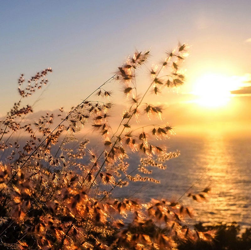 Sun shining over the waters.