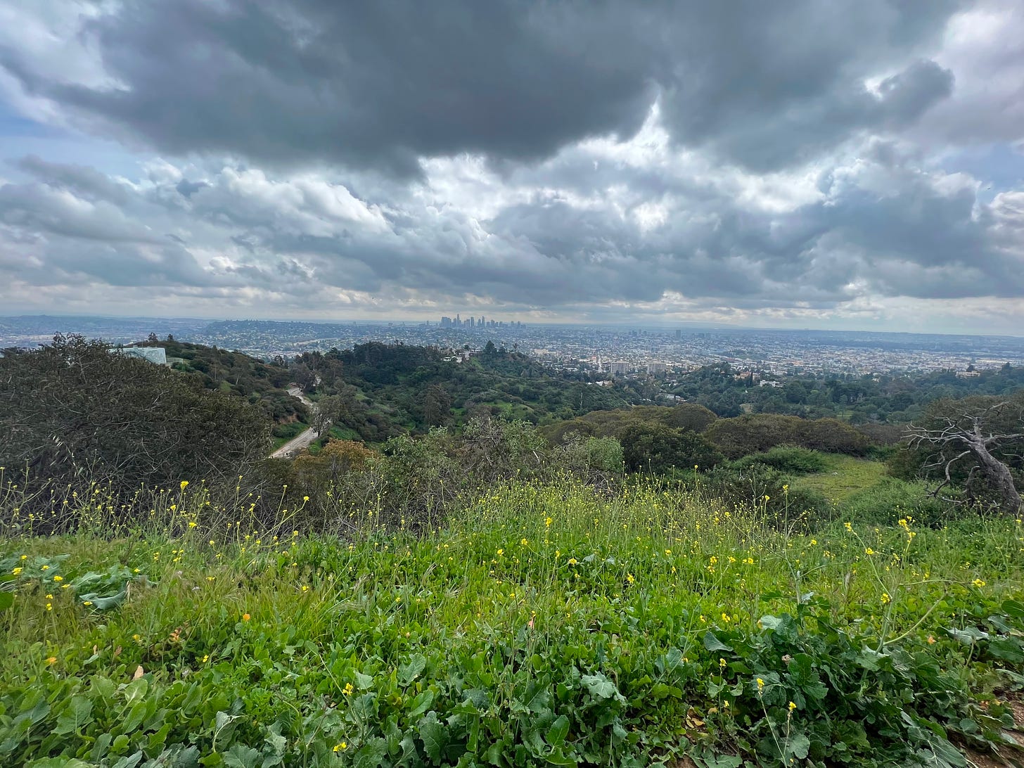 Landscape with big sky