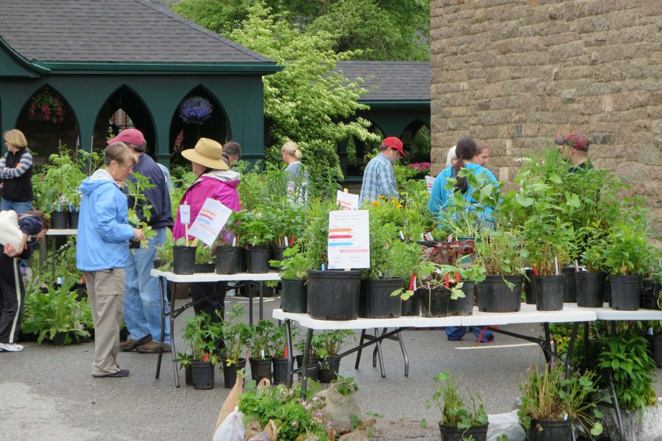 Wild Gardens of Acadia Plant Sale