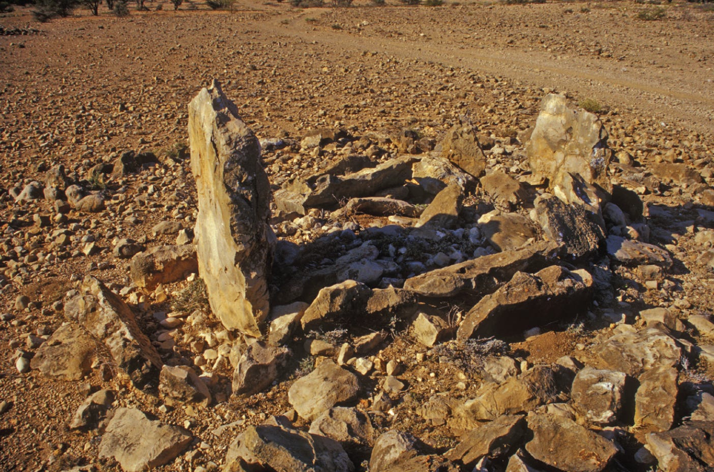img-7.jpg