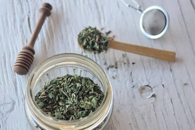 Ginger Lemon Balm Green Tea from Homespun Seasonal Living