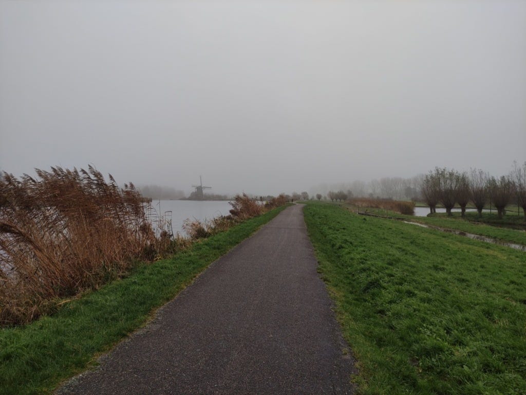 The North side of the course, a paved path with grass on one side and tall reeds on the other, where the water stretches away. The windmill is in the distance.