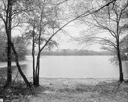 File:Walden Pond.jpg - Wikimedia Commons