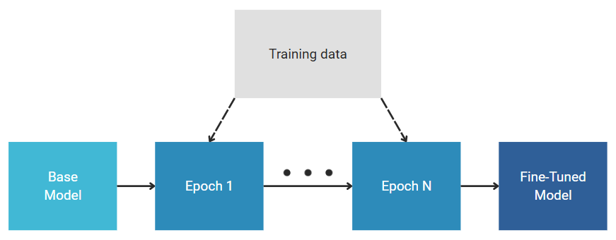 Train the Model fine-tuning process