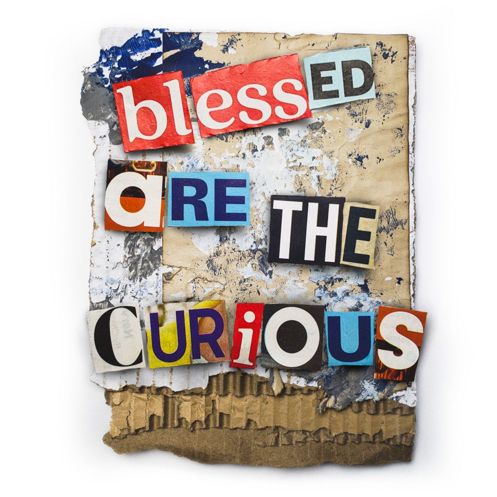 blessed are the curious - original art by duane toops