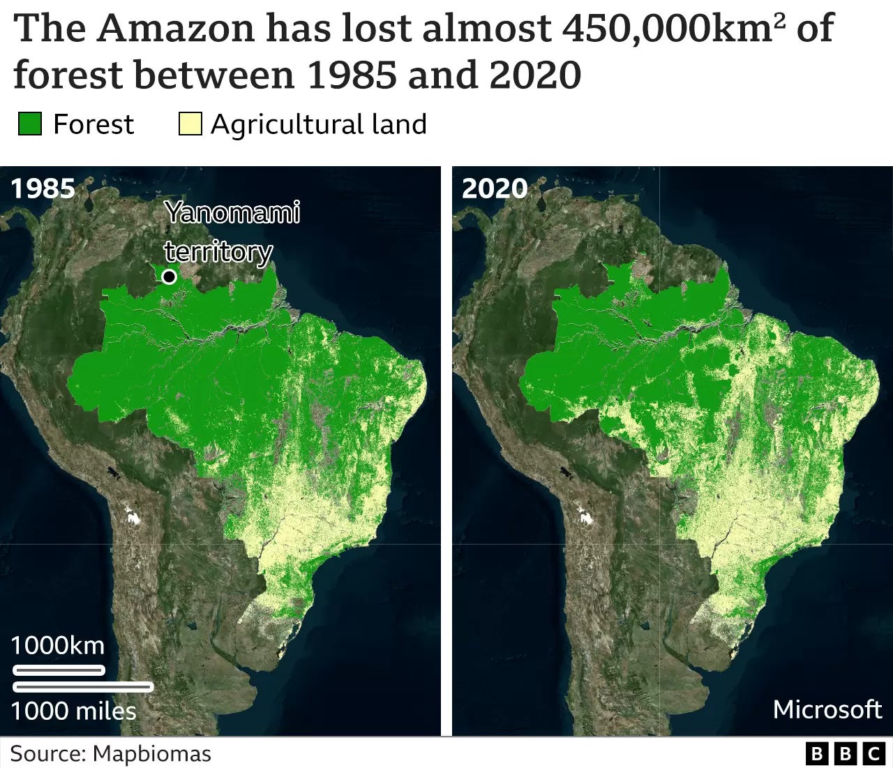 Ilustración de la deforestación del Amazonas