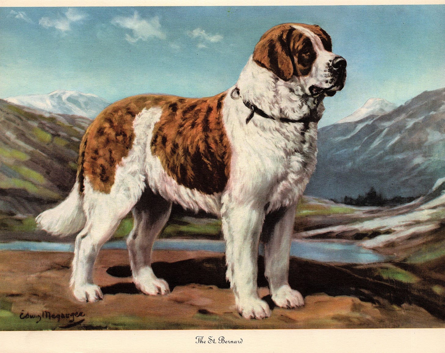 1942 Antique SAINT BERNARD Dog Print Vintage Edwin Megargee St - Etsy | Dog  print art, St bernard dogs, Dog art
