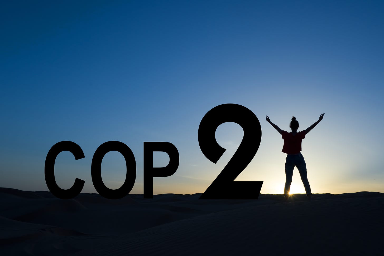 COP-21-shutterstock_316871090