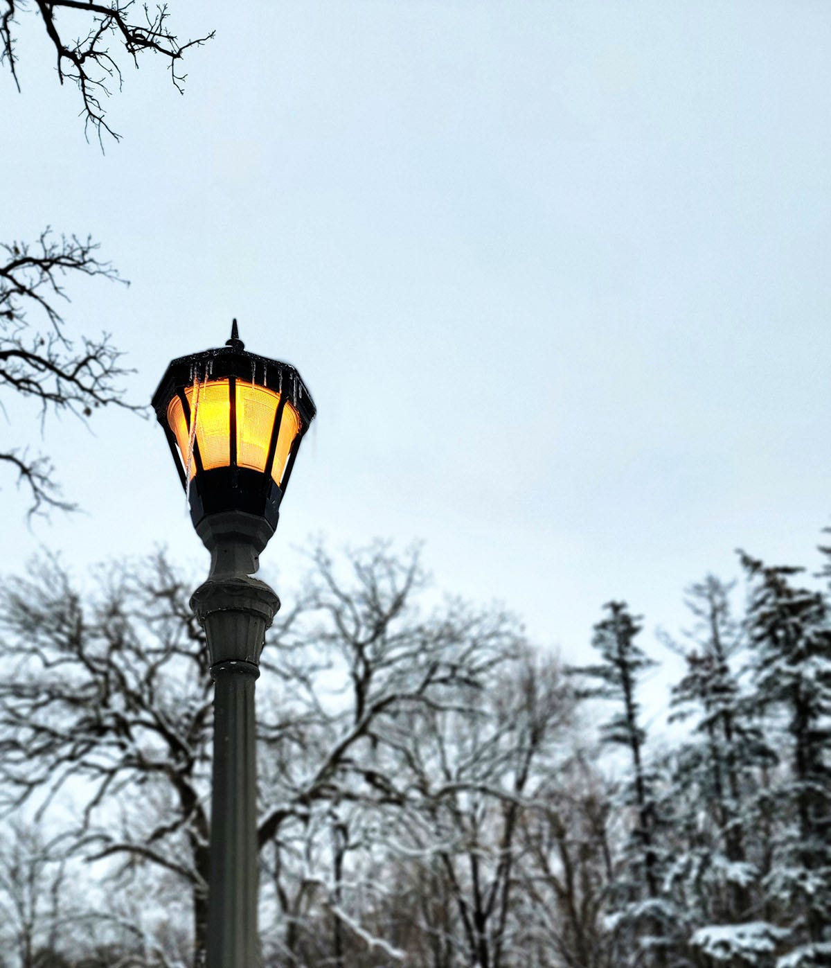 A streetlight lit in the gray daytime.