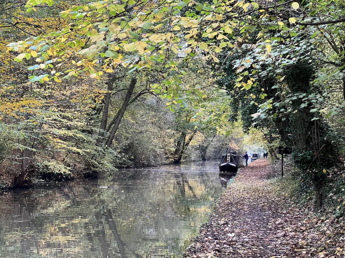Photo by Author — a healthy walk by a canal on an autumn day