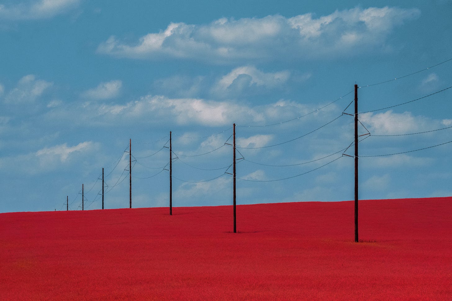 Power Lines 