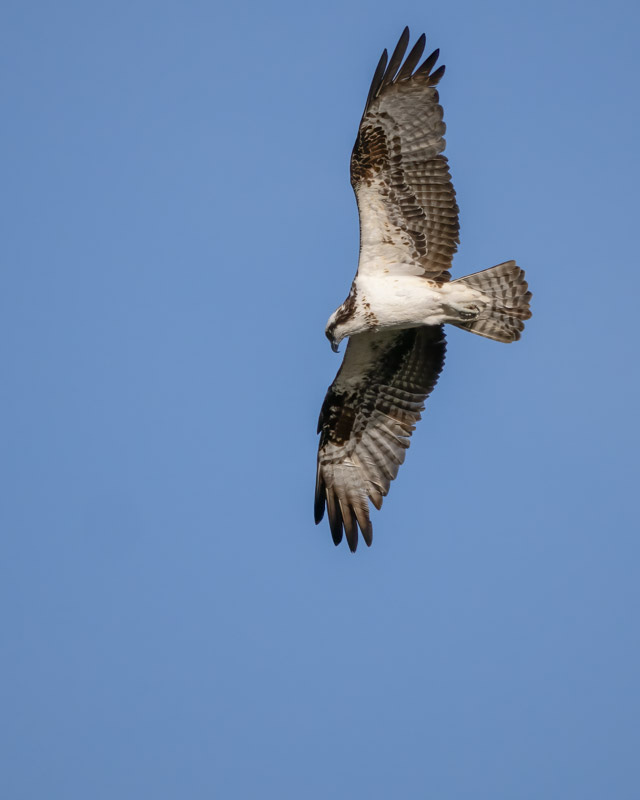 20240218-Yuma-723-Edit.jpg