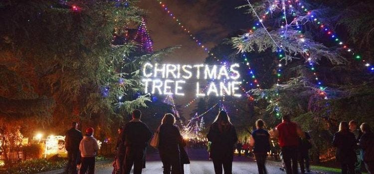 Picture of the Christmas Tree Lane sign at night with people walking down Van Ness
