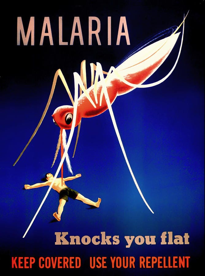 Vintage Malaria Poster Photograph by Mountain Dreams - Fine Art America