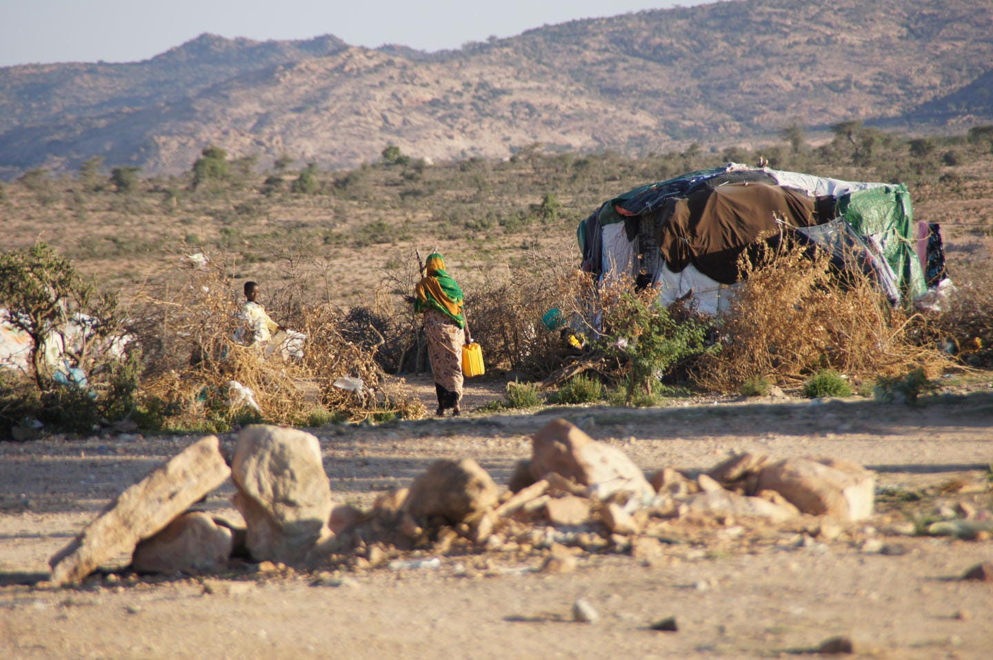 FMSC Staff Trip 2011 - Somali Drought