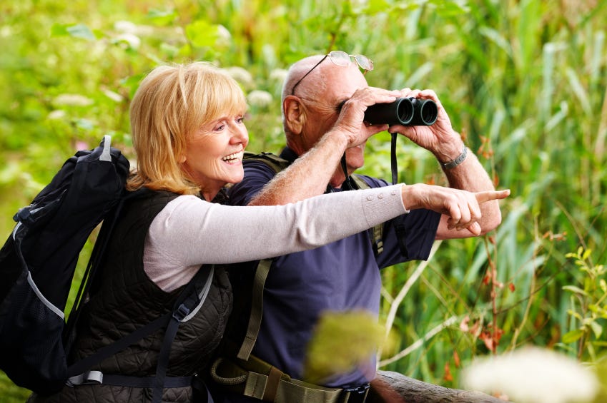 The Benefits of Bird-Watching | Blain's Farm & Fleet Blog