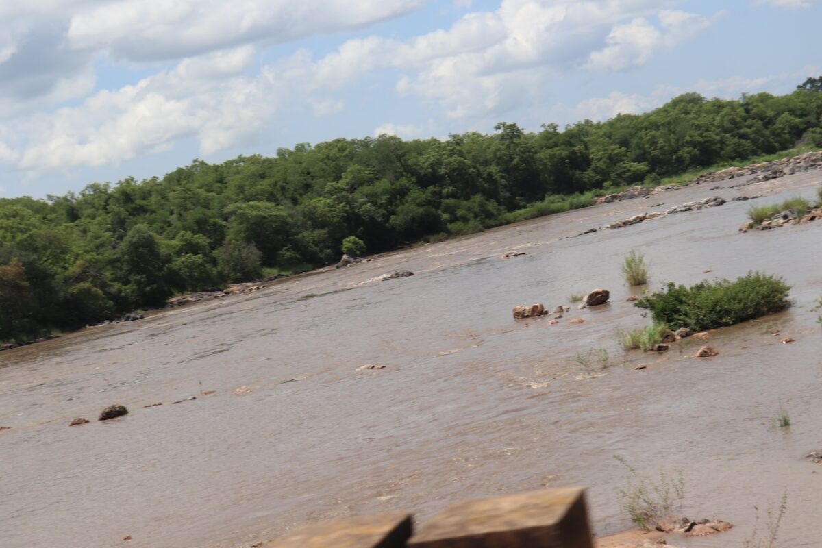 Benoué National Park. Image by Leocadia Bongben for Mongabay.