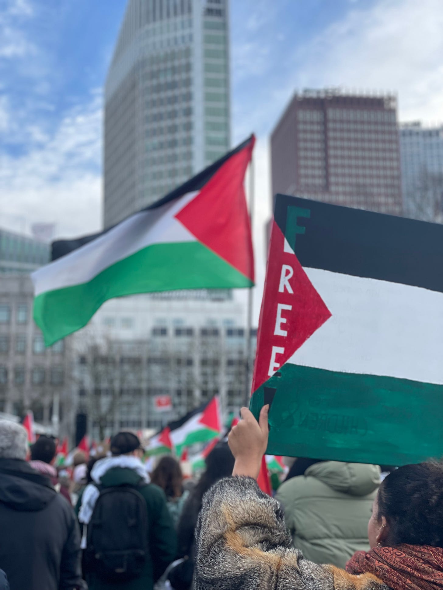 photo of a palestine march taken from behind with a waving palestine flag in the background and someone holding a painted image of a palestinian flag in the foreground with the word "free" painted on it in red