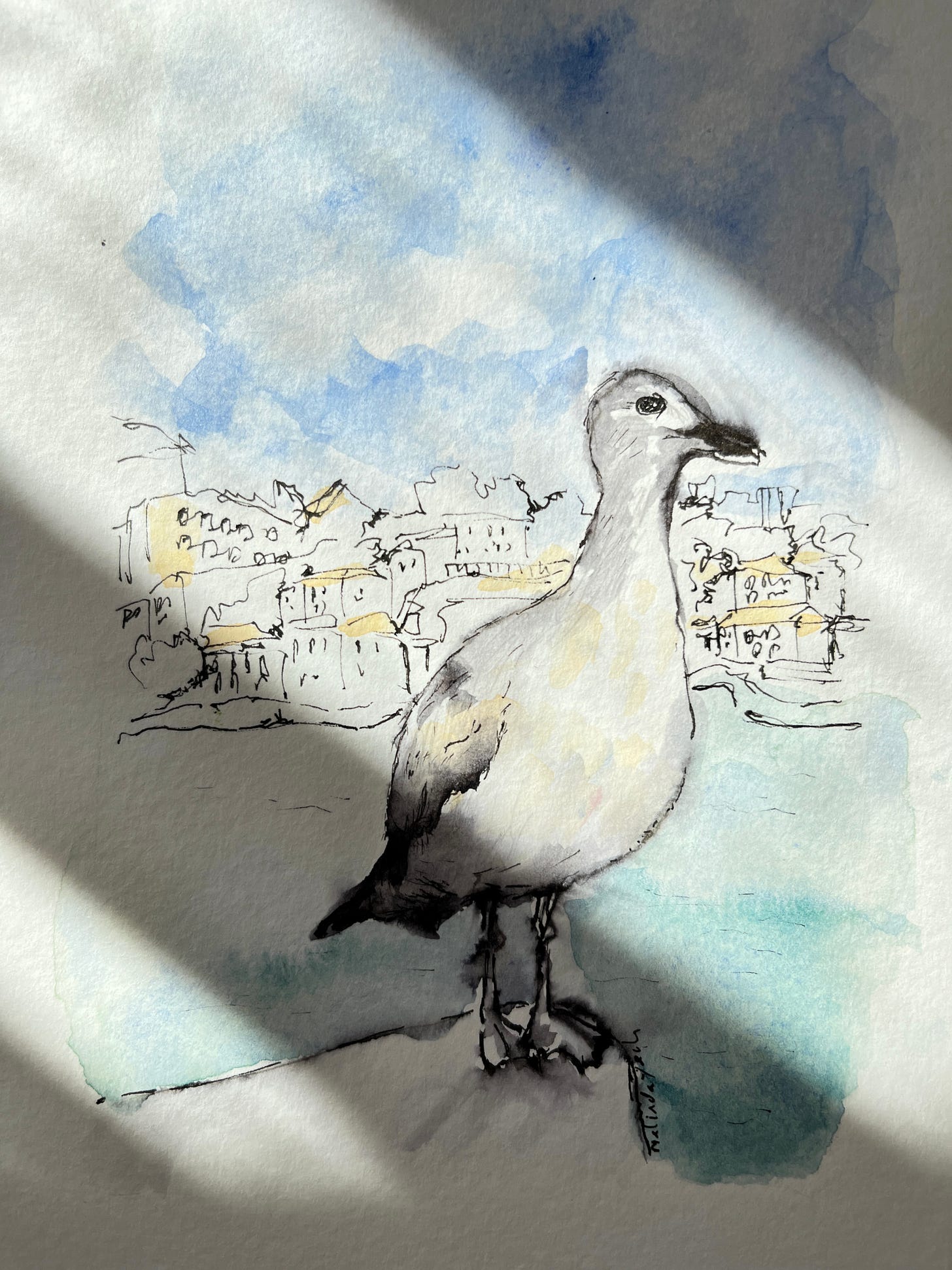 image: ink and watercolour wash painting of a seagull as the focus in the foreground, perched on a structure, the background is Ribeira river with the old charming houses in Gaia.
