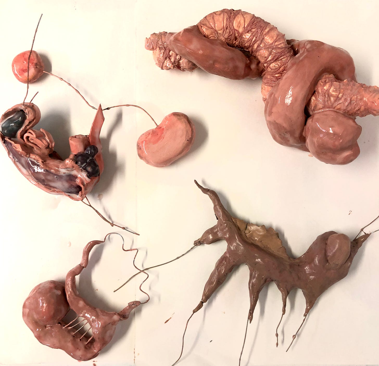 A selection of fleshy organ-like sculptures against a white background