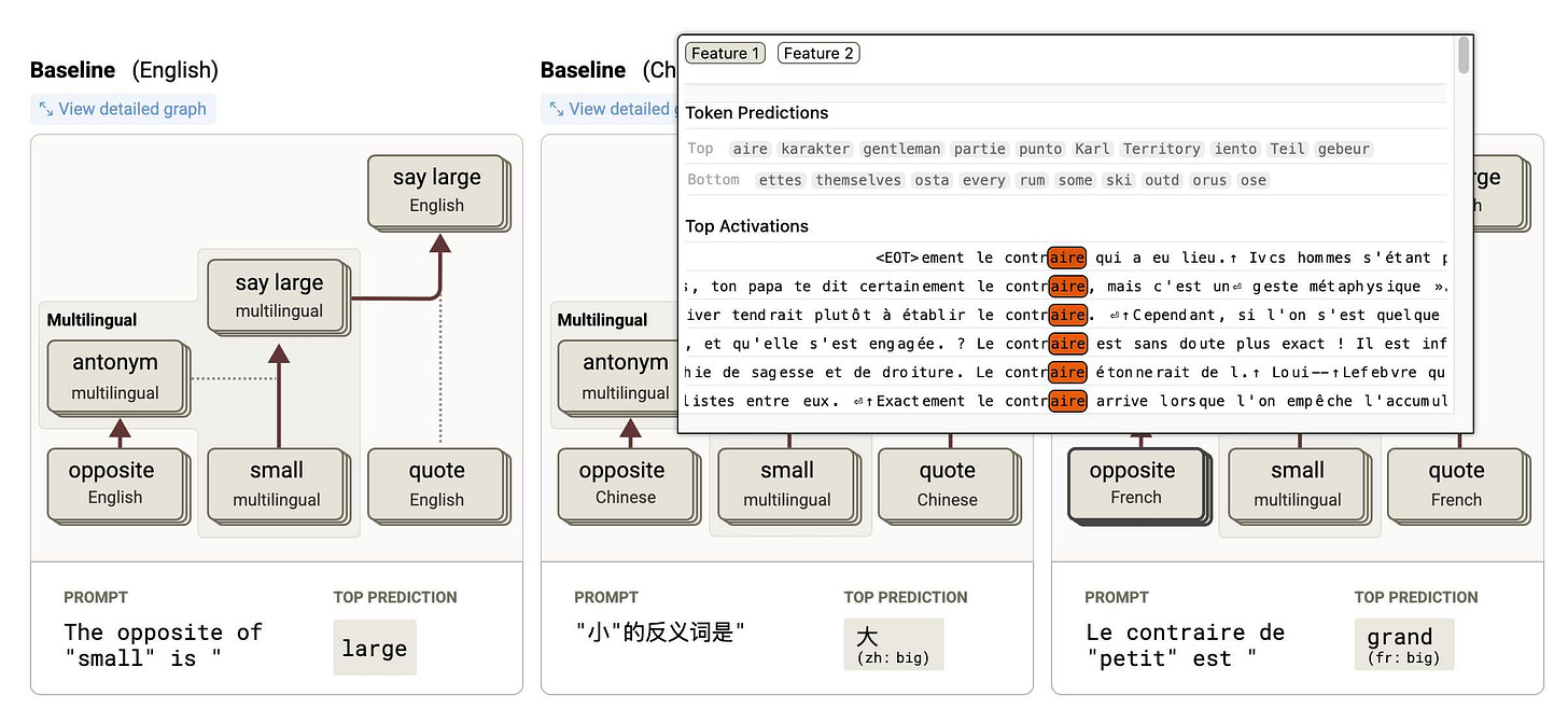 Screenshot of a multilingual language model visualization showing antonym prediction across three languages. Left panel shows English with prompt "The opposite of 'small' is'" predicting "large". Middle panel shows Chinese prompt "小"的反义词是" predicting "大 (zh: big)". Right panel shows French prompt "Le contraire de "petit" est" predicting "grand (fr: big)". Above shows activation analysis with token predictions and highlighted instances of "contraire" in French text.