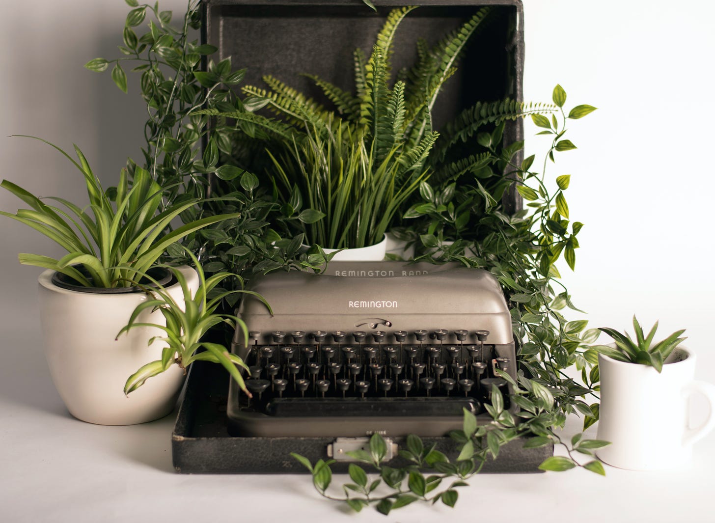 typewriter surrounded by potted plants