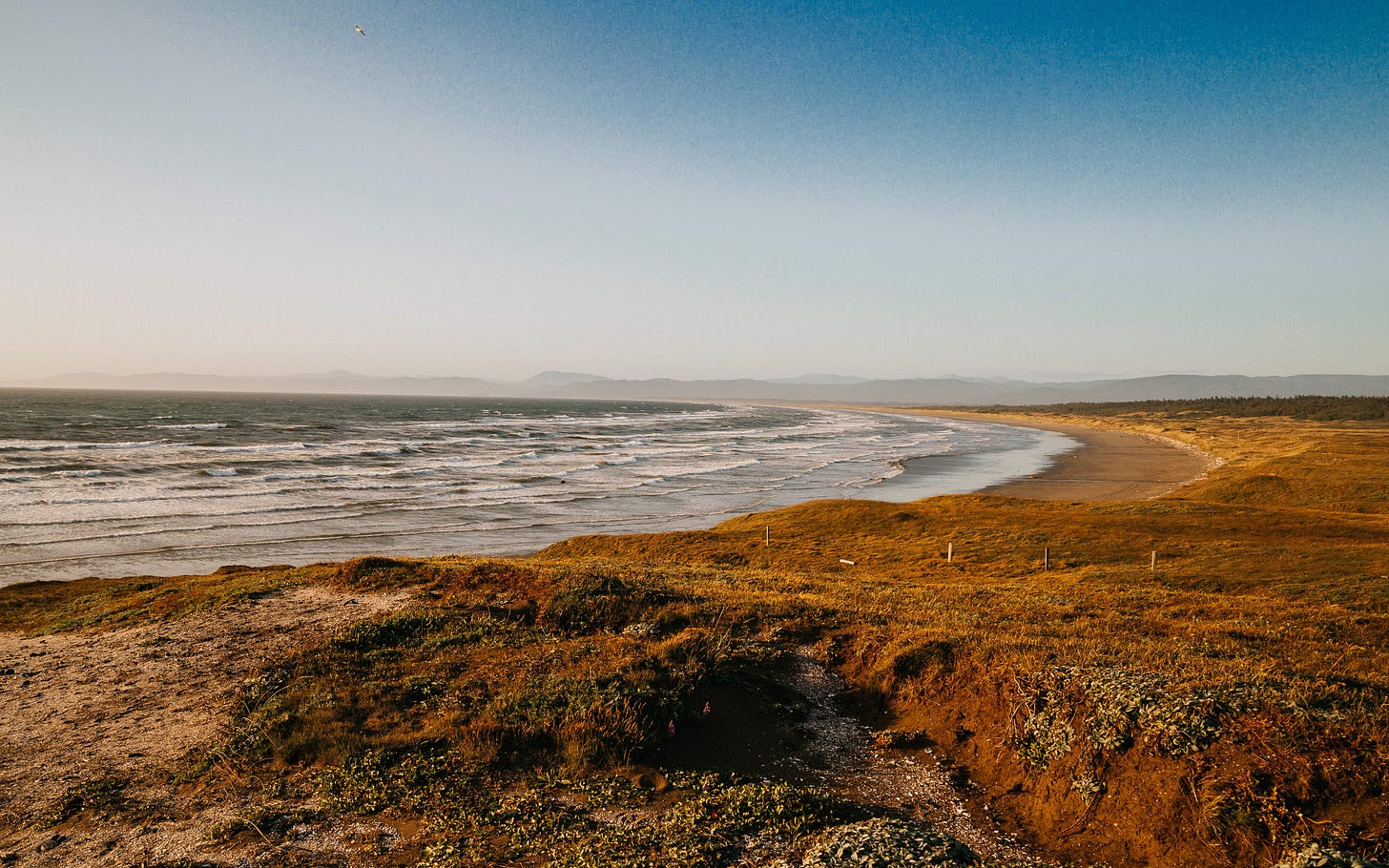 a coast line with yellow grassy hills bordering it.