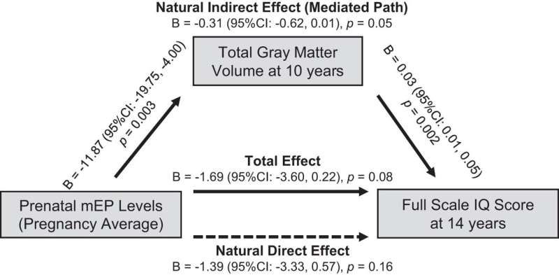 Exposure to plasticizers in pregnancy associated with smaller volumetric measures in the brain and lower IQ in children