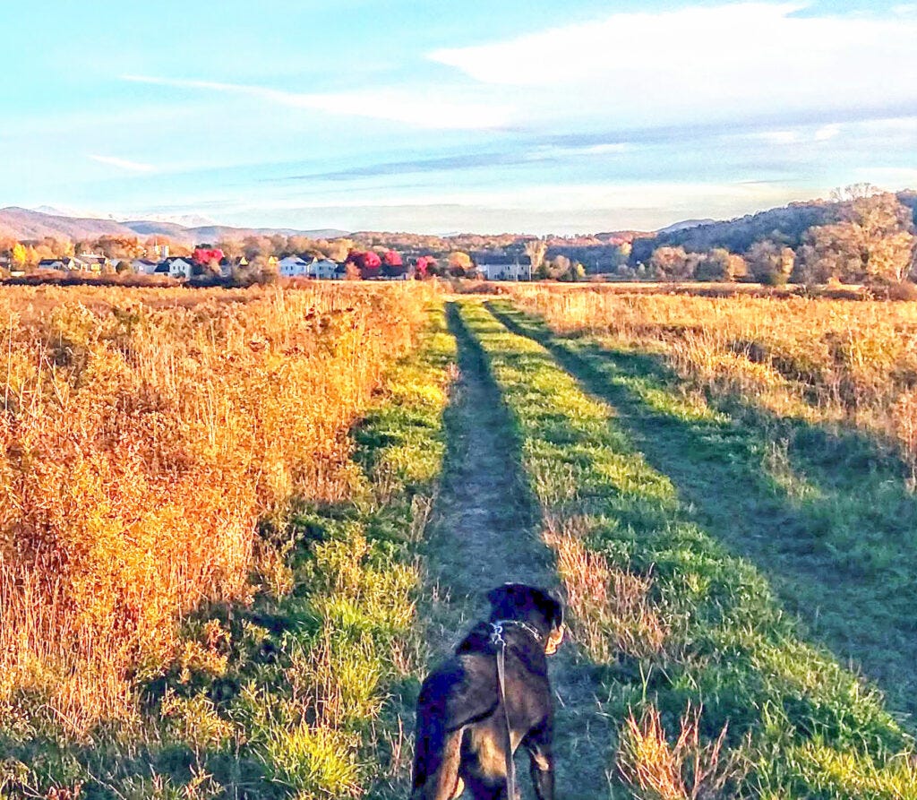 Bert on a walk, behind the health center heading south toward the town center