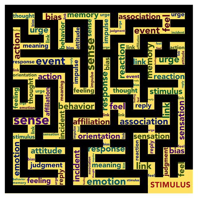 thinking thoughts awareness therapy coaching counseling psychology growth performance integration healing lincoln stoller