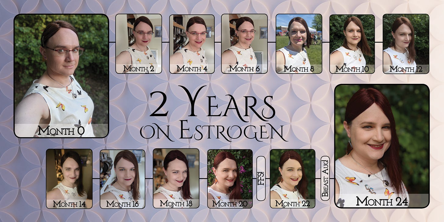 A series of selfies of the author, in the same pose, makeup, and clothes, taken every two months of her first two years on HRT. It's captioned "2 years on estrogen."
