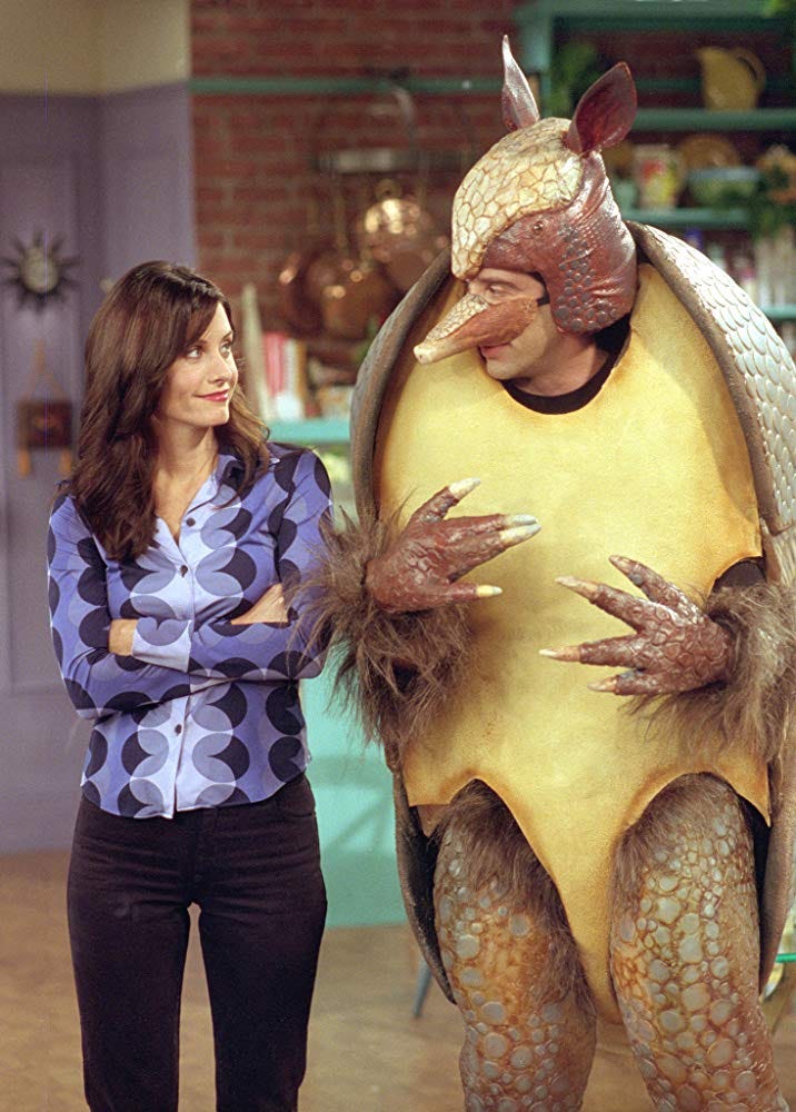 Holiday Armadillo