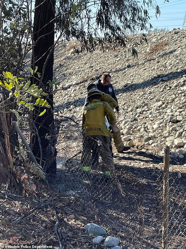 Officials did not provide say whether the brush fire had been quenched, but photos shared by police show firefighters cleaning up what appears to an extinguished blaze