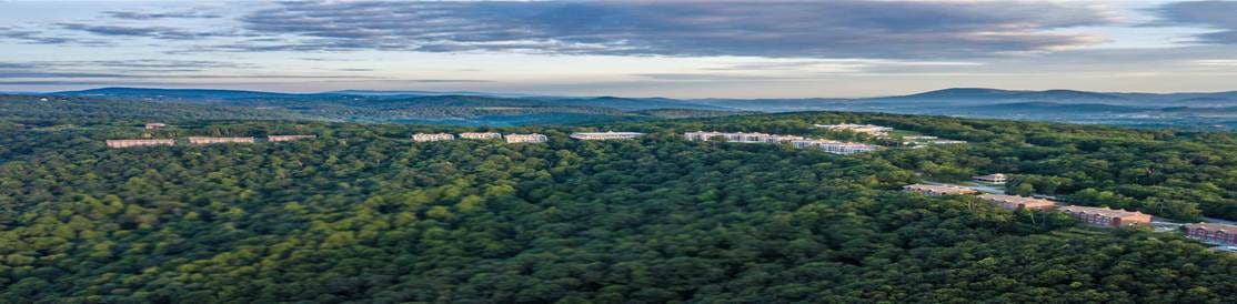 A group of buildings in a forest

AI-generated content may be incorrect.