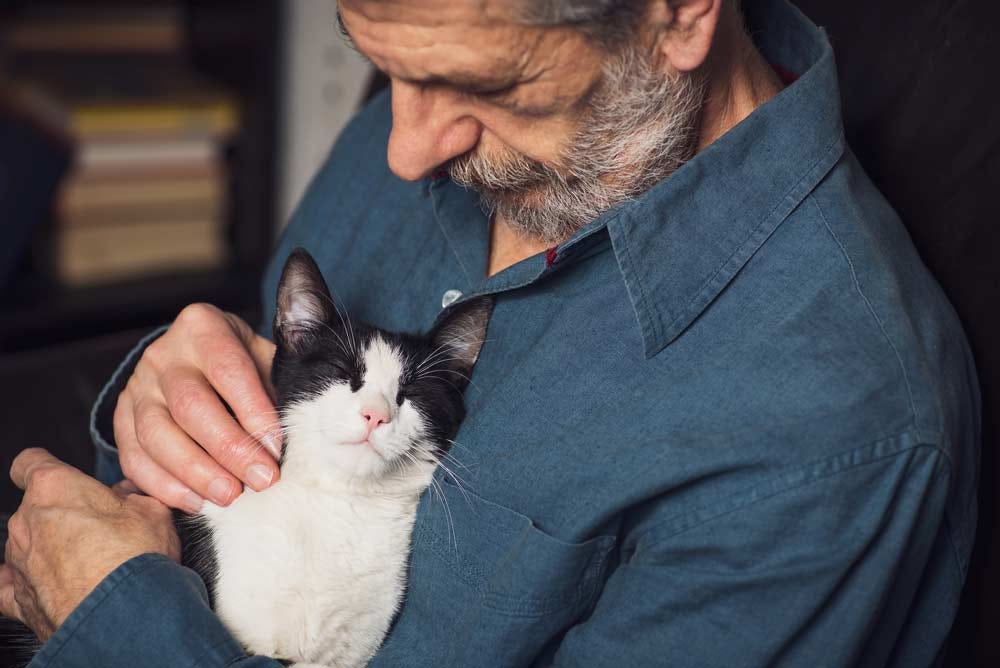 Elder man finding comfort while petting calm cat friend.