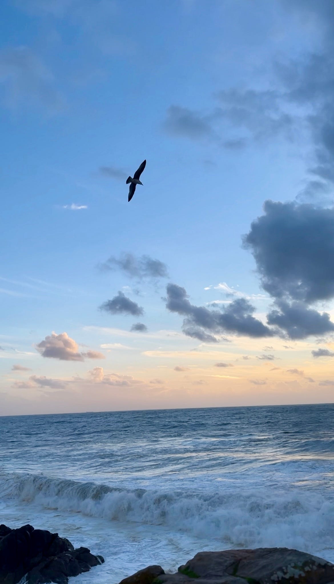 image: landscape majestic shot of a seagull soaring high up in the sky, below, the roaring waves
