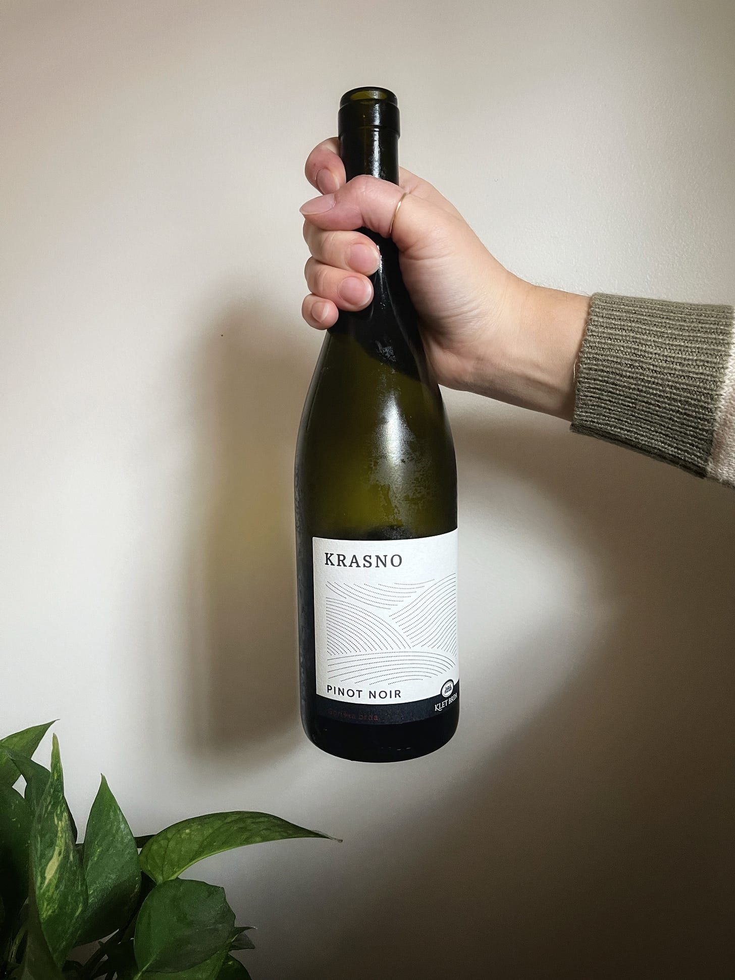 Natural wines to try for fall low-intervention winemaking recommendations by food and travel writer Courtney Jill Bishop.