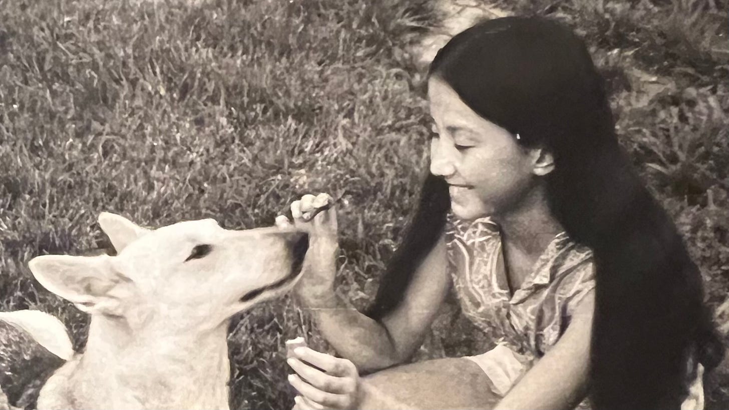 My dear sweet LiLy (Lee Dee) and me in 1968, silver and cream German Shepherd laying in the grass, alert, and me, almost 13 years old, smiling, kneeling and ready to give her a biscuit. 