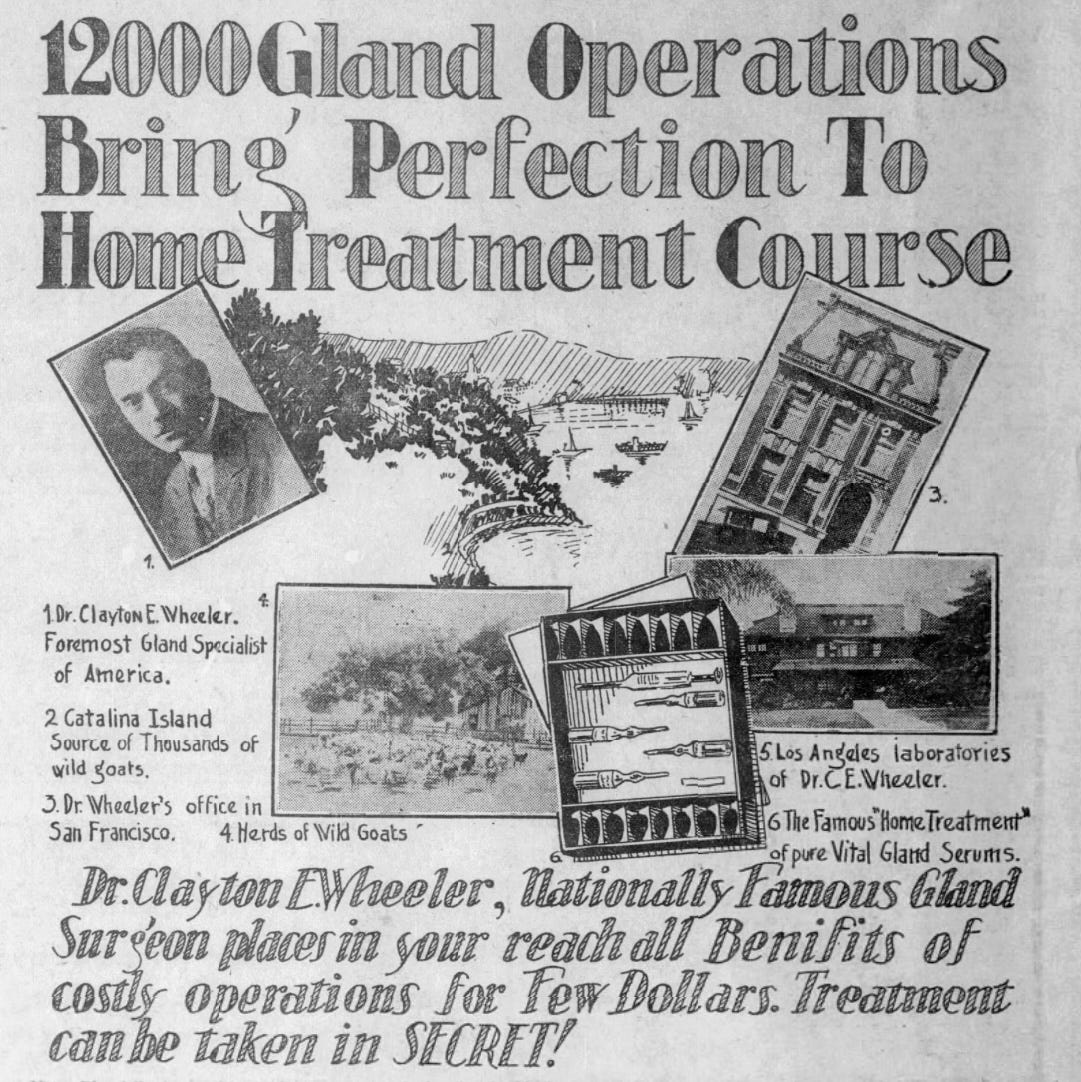 A newspaper advertisement headlined '12000 Gland Operations Bring Perfection to Home Treatment.' The advert features several images - a portrait of a man, a building, a field of goats and a box containing medical supplies. In the background there is a drawing of a bay with small boats and mountains.