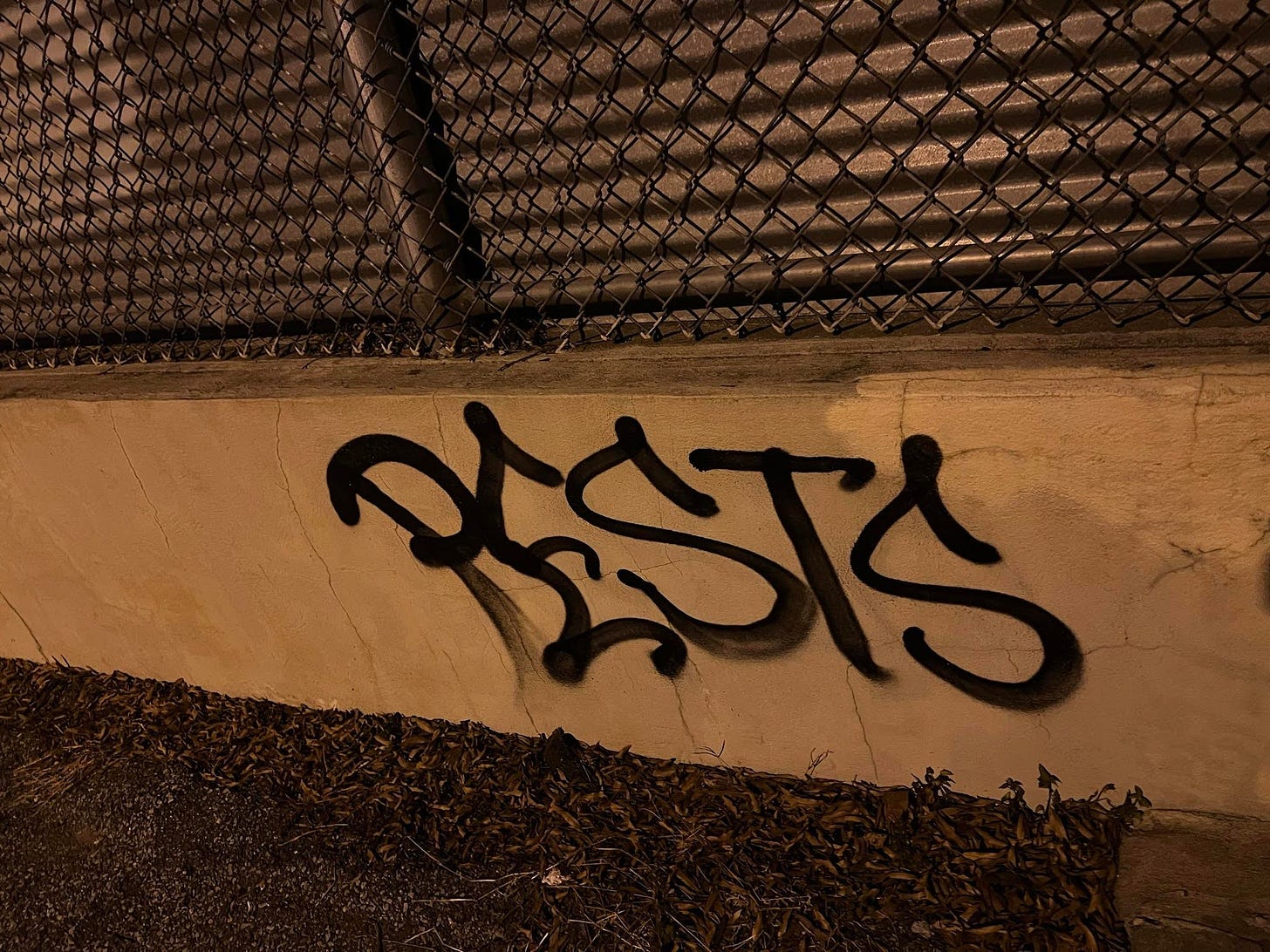 "PESTS" tagged on a low cement wall.