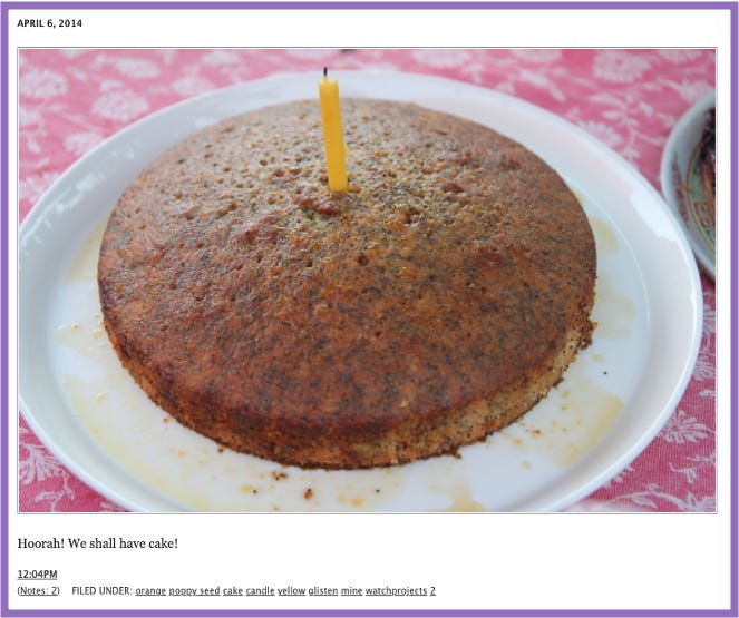 Ursula's Tumblr | Photo of an orange poppy seed cake, syrup dripping down the sides, on a white plate. It is also from the bbq. | Caption reads: Hoorah! We shall have cake!