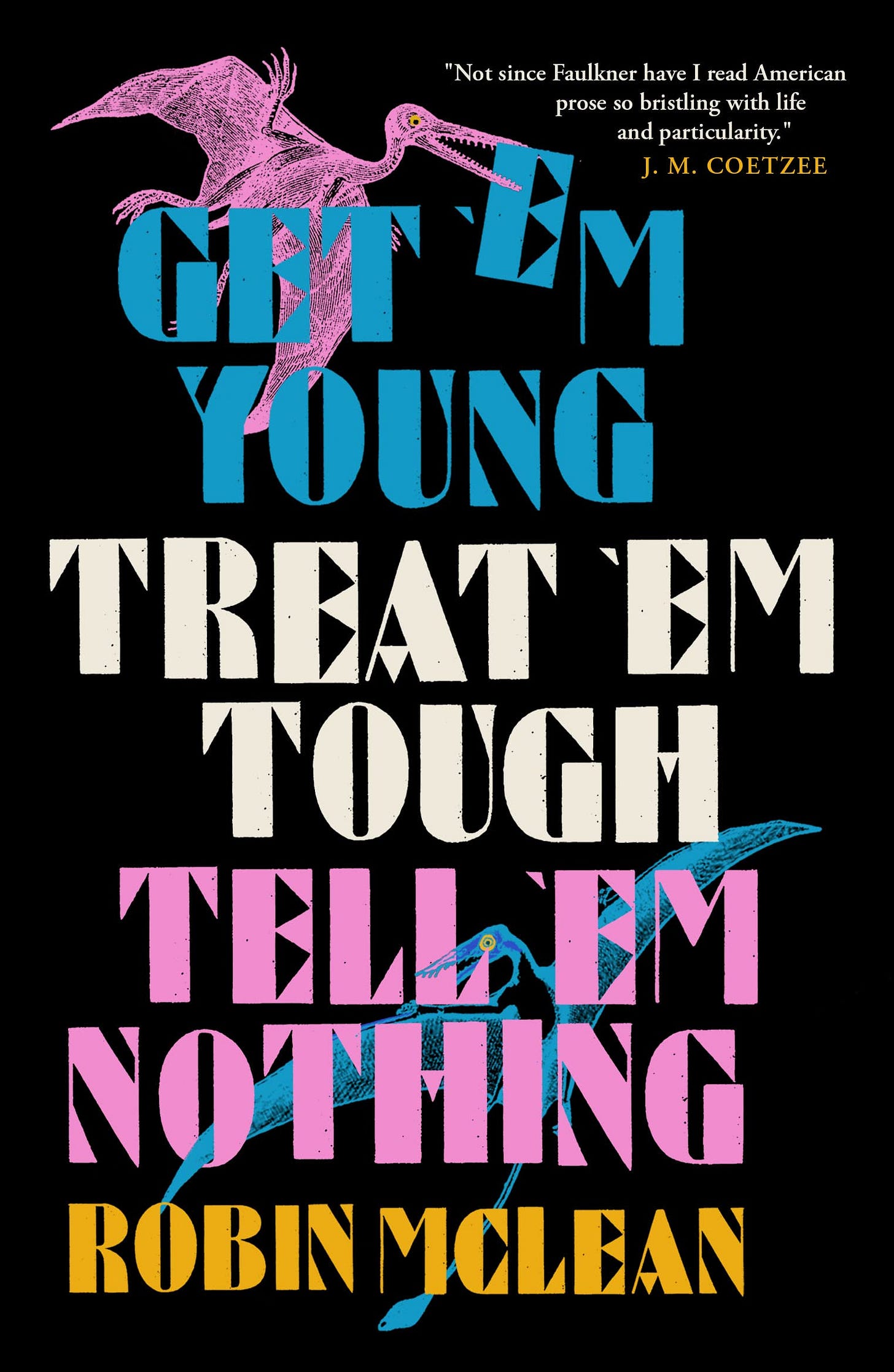 Get 'em Young, Treat 'em Tough, Tell 'em Nothing by Robin McLean | Goodreads