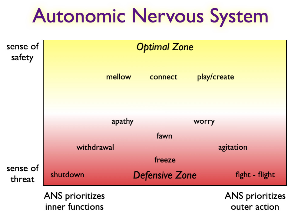 A diagram titled "Autonomic Nervous System" with a yellow to red gradient, showing the "Optimal Zone" at the top (mellow, connect, play/create) and the "Defensive Zone" at the bottom (apathy, worry, fawn, agitation, withdrawal, freeze, shutdown, fight-flight). The left side indicates a "sense of safety" and the right side indicates a "sense of threat." The bottom notes "ANS prioritizes inner functions" on the left and "ANS prioritizes outer action" on the right.