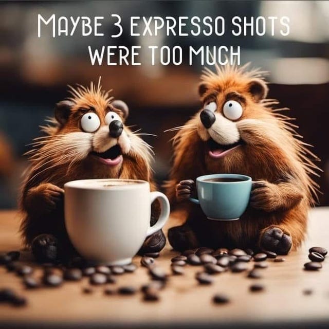 r/coffeelife - Funny Coffee Meme!