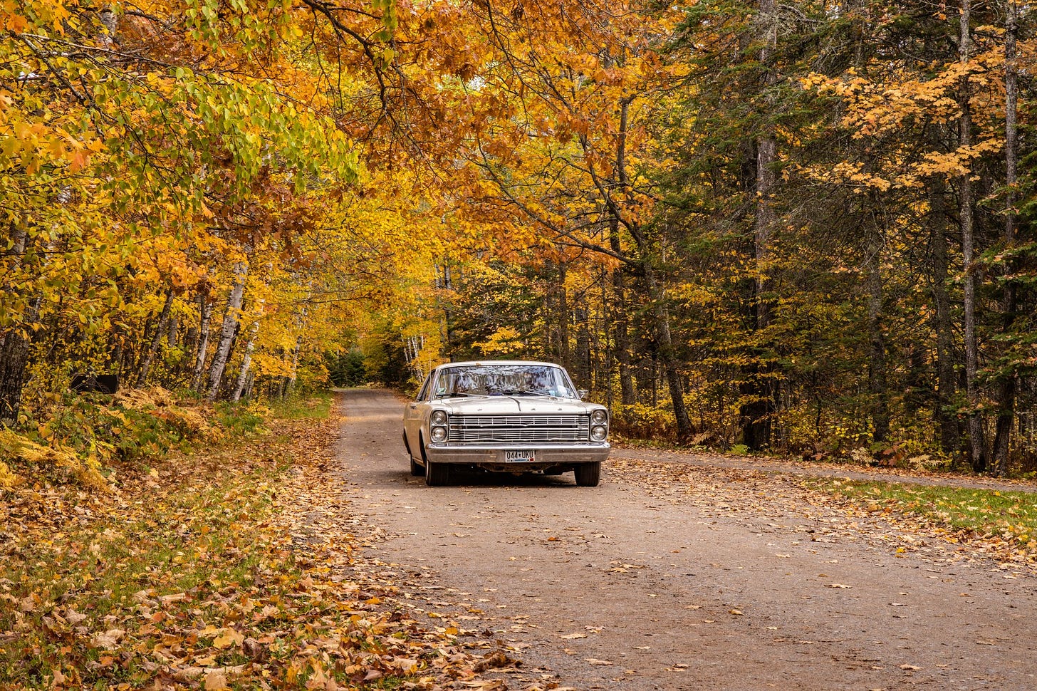 Classic car driving through the woods by adamgindtphoto on ...